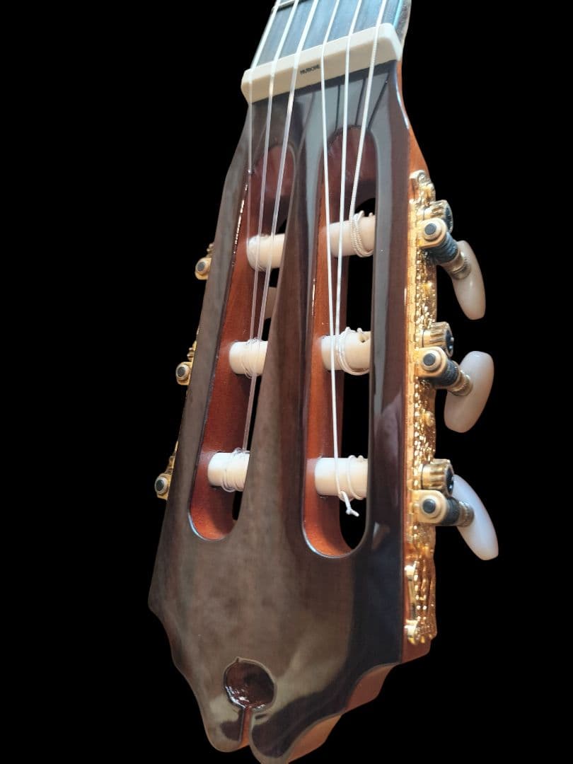 本日迄★エレガットギター★ワッシュバーン Washburn C64SCE★