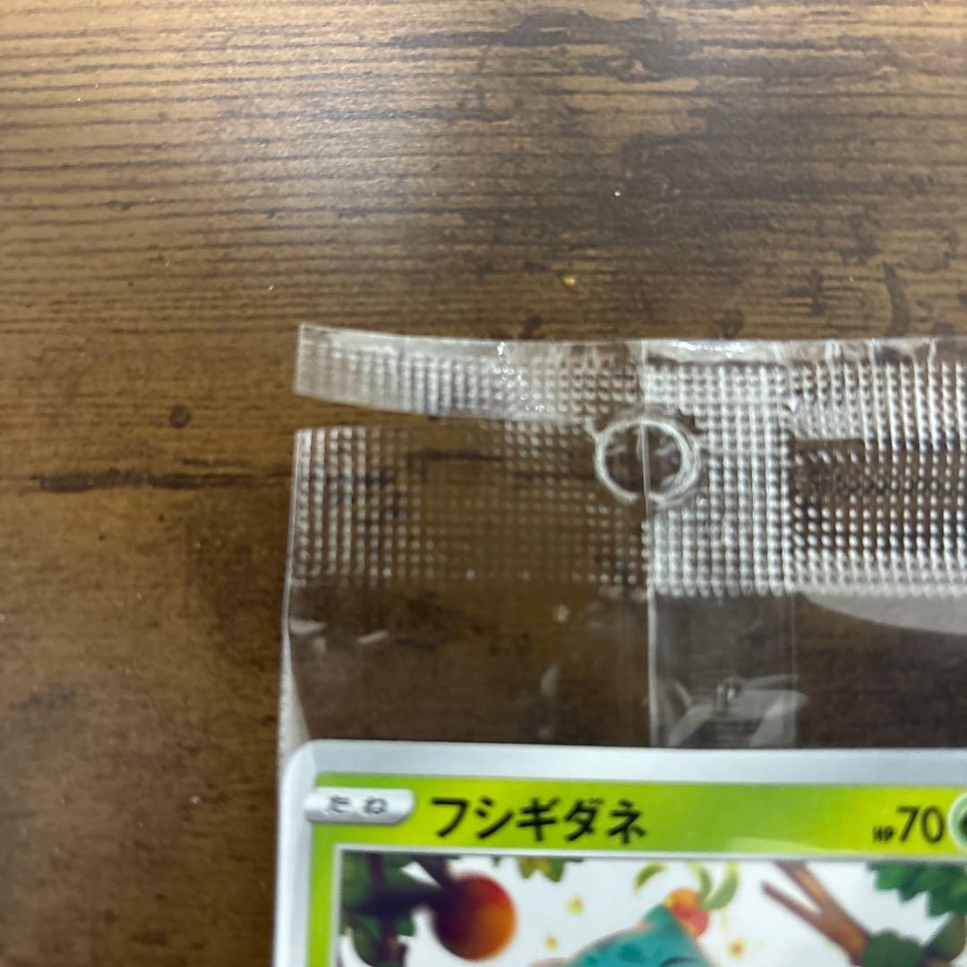 ピカチュウsv プロモ