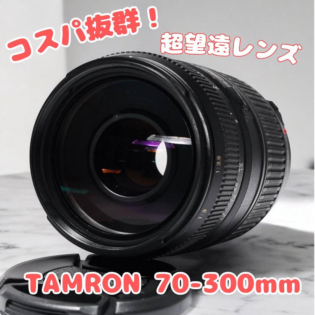 ♥超望遠ズーム♥TAMRON 70-300mm♥マクロ機能付 迫力撮影