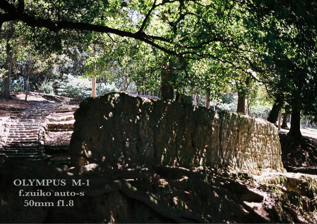 超希少！完動・美品★オリンパスm-1（om-1） &Mシス f1.8★作例多数