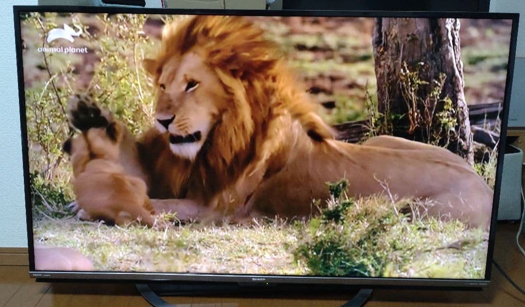 最終値下げ！送料無料！SHARP 液晶テレビ　50インチ　2017年製