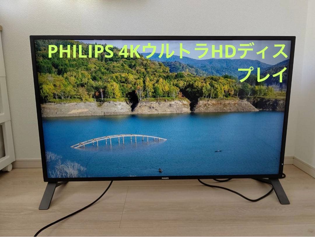 HUE様　PHILIPS 42.51型4KウルトラHD液晶ディスプレイ