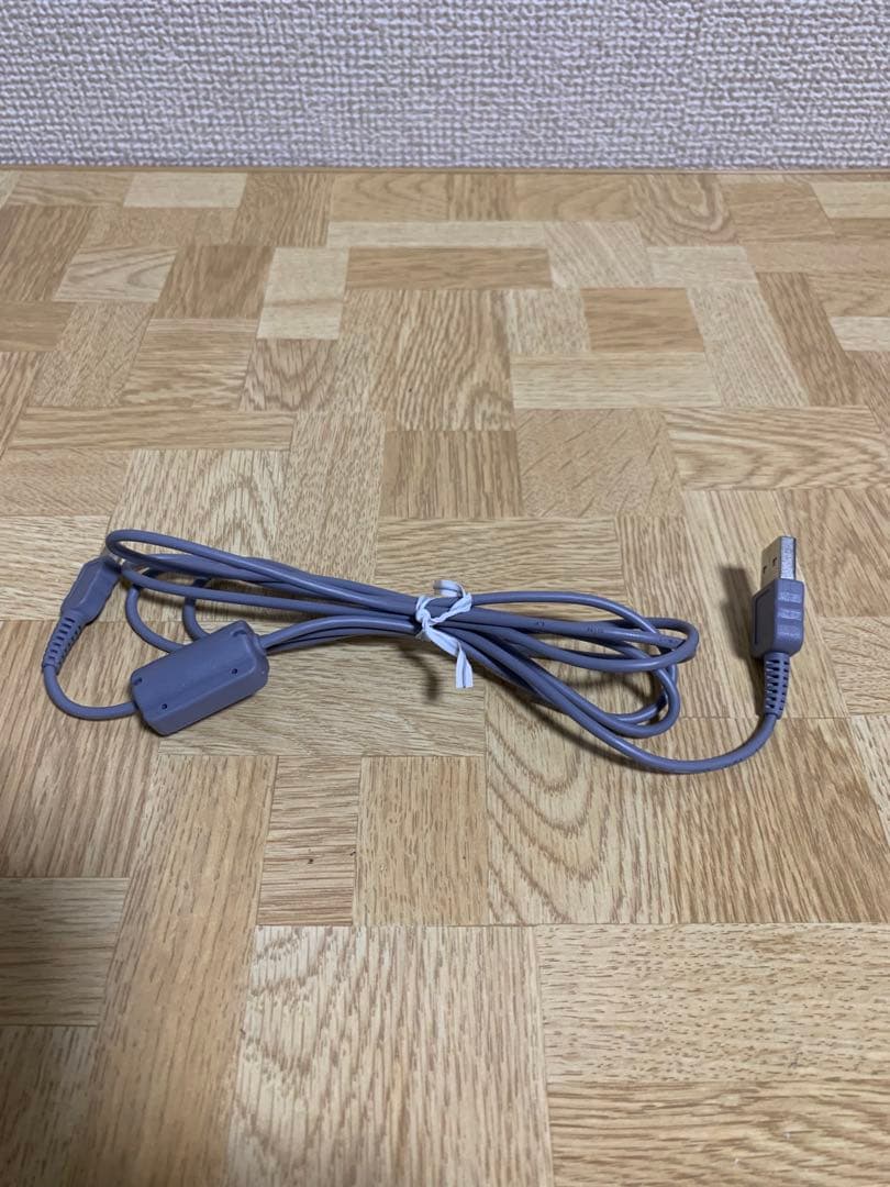 SONY ハンディカム DCR-SR100 ソニー