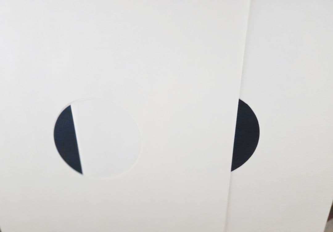 だ*ご様 極美品!帯付き!くるり　team rock オリジナル盤!アナログ!