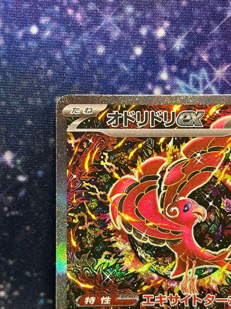 オドリドリex SAR 美品