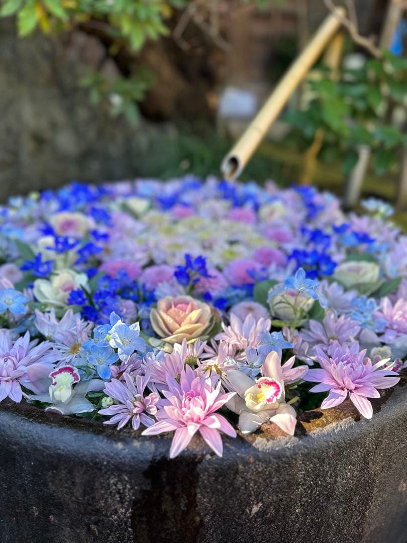 Nikon D7500 レンズセット