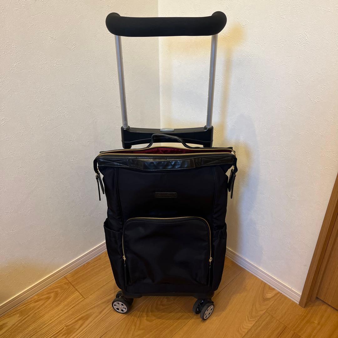 美品✨ミズノ エスコートキャリー キャリーカート　MIZUNO 買い物カート