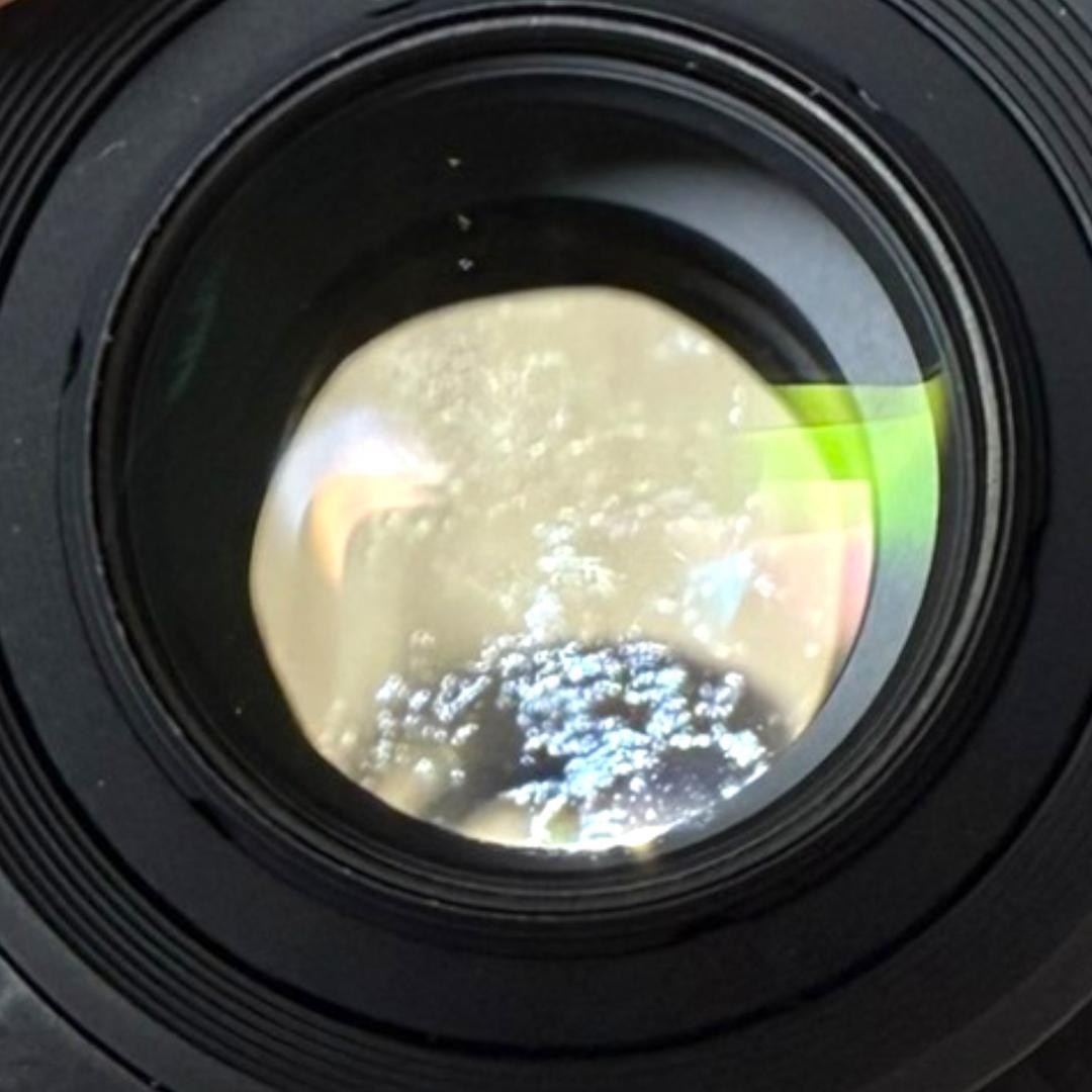 Nikon ズームレンズ AF-S DX 18-200mm #113