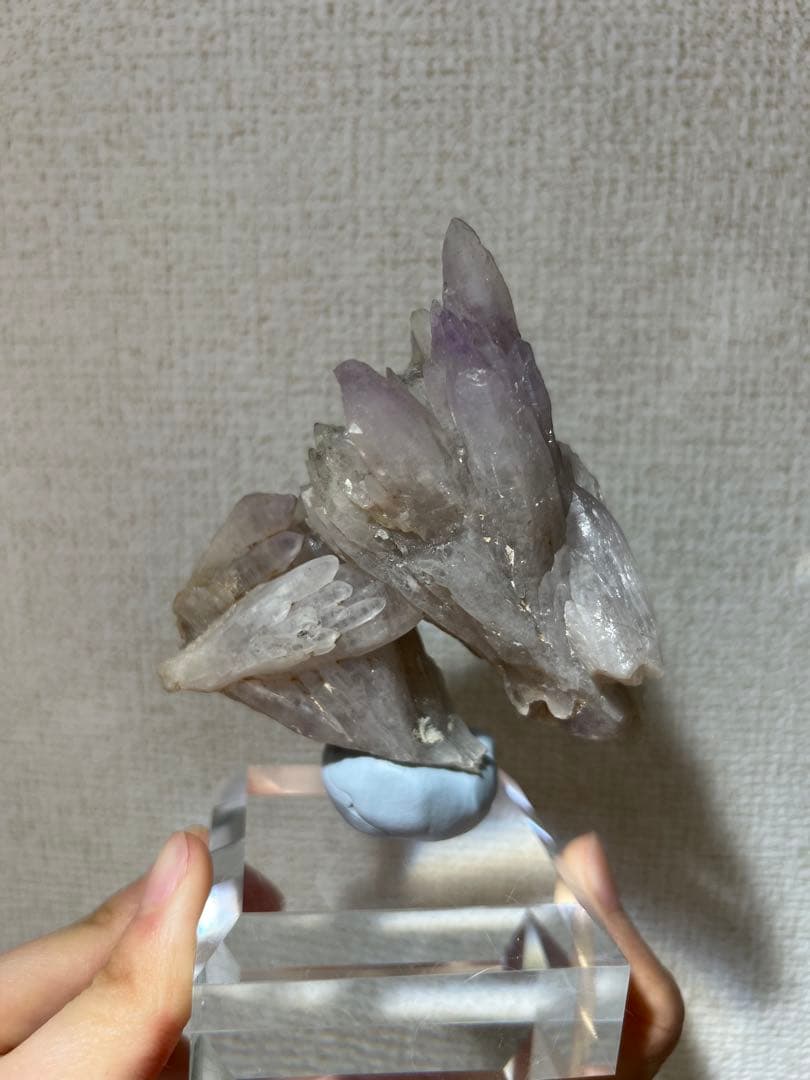 【本日限定】国産鉱物　富井鉱山　紫水晶群晶