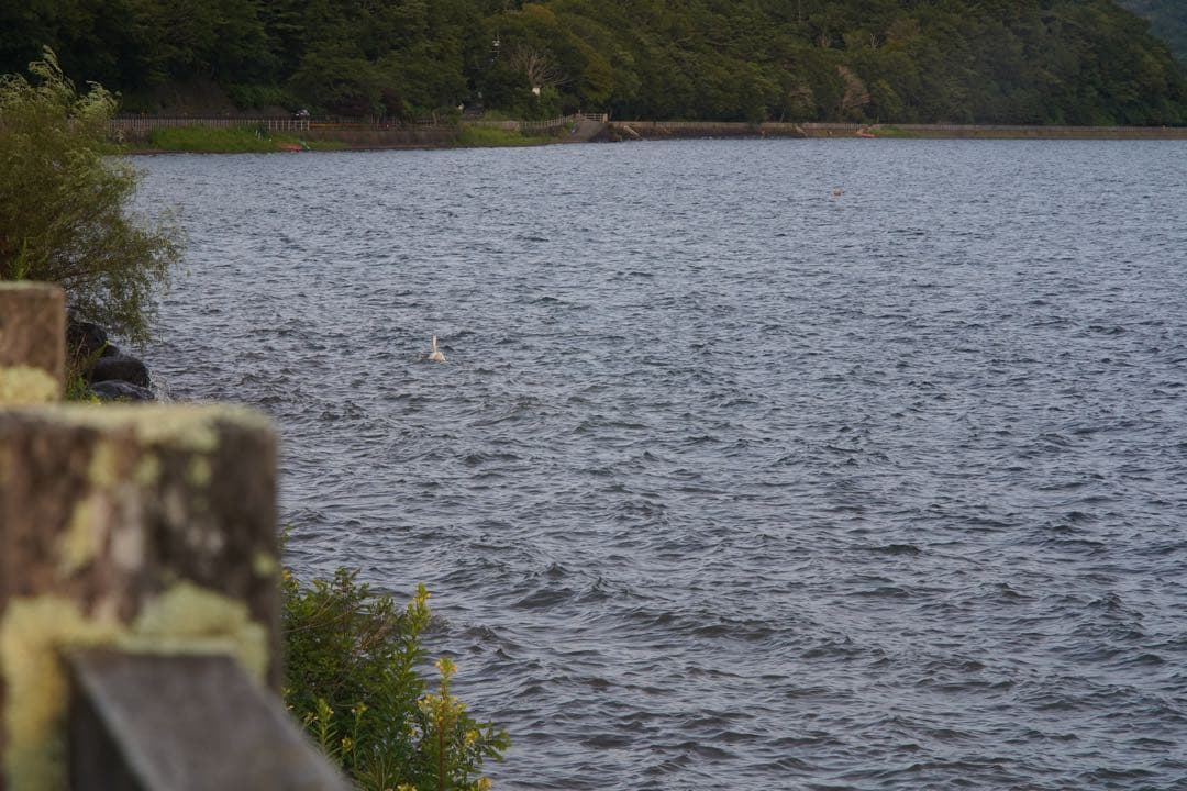 レンズ(単焦点) ASAHI PENTAX Super TAKUMAR f:3.5 135mm