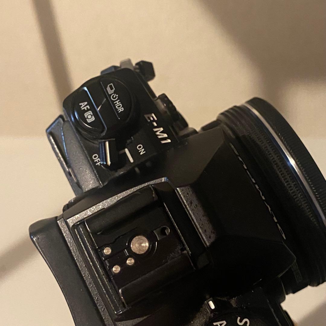 OLYMPUS OM-D E-M1 初代 【ボディ動作品】 ※レンズ要確認