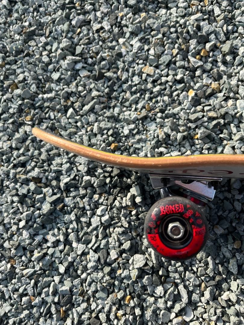 熊*拳様 Element スケートボード コンプリート