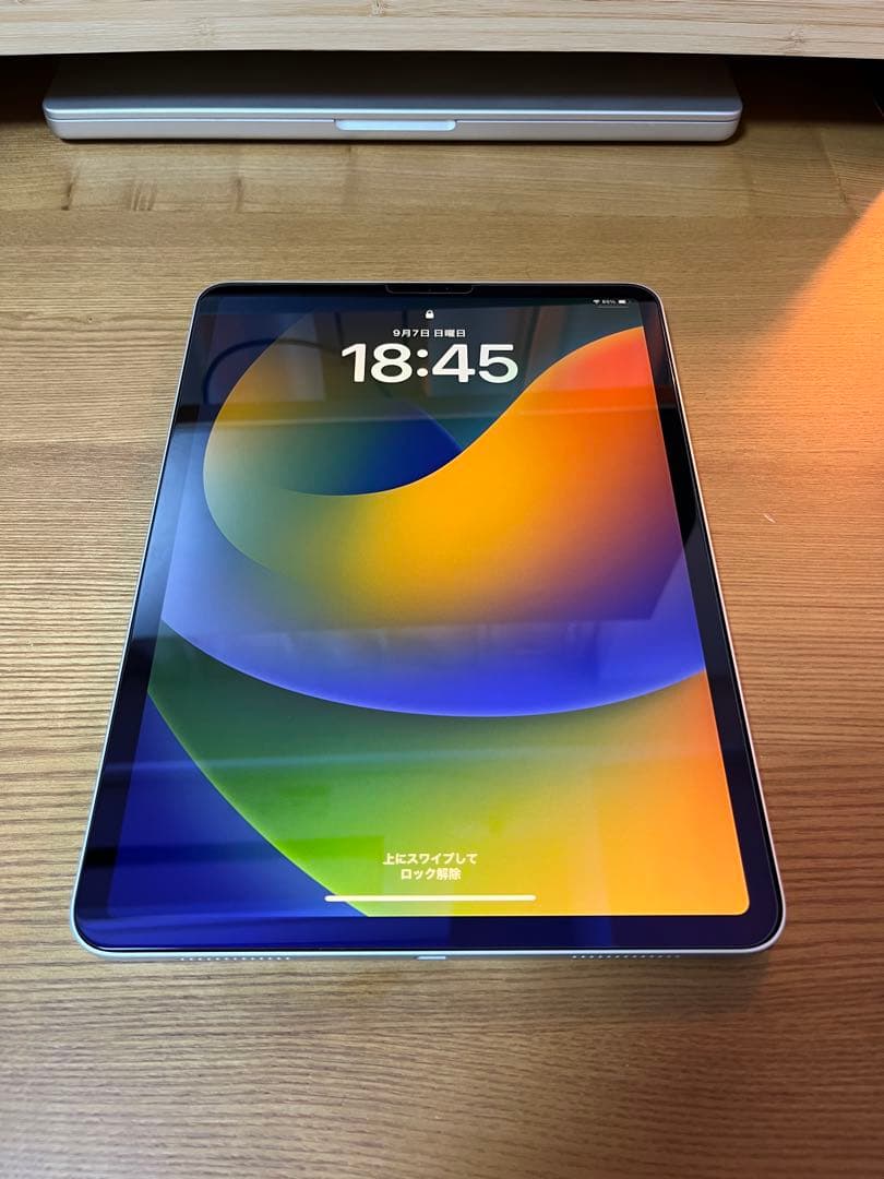 Apple iPadPro 11インチ 第一世代 64GB