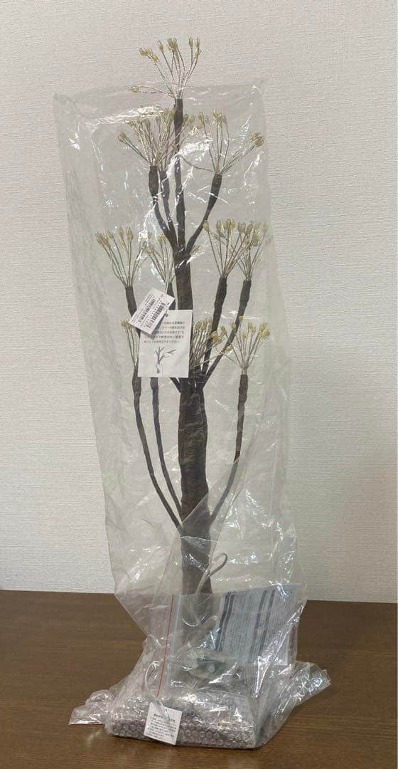 LEDライト ブランチツリー Blossom LED 60cm