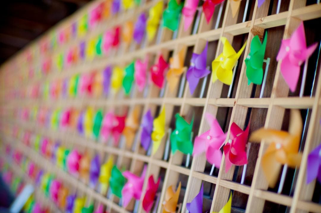 学生応援。スマホ卒業 SONY NEX-5T未使用級ダブルズーム ミラーレス一眼