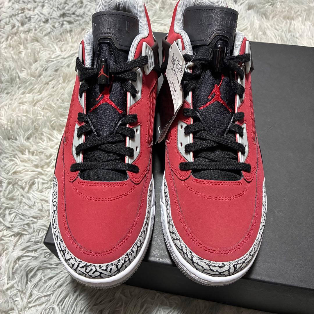 【新品未使用】NIKE JORDAN SPIZIKE 30〈定価23,560円〉