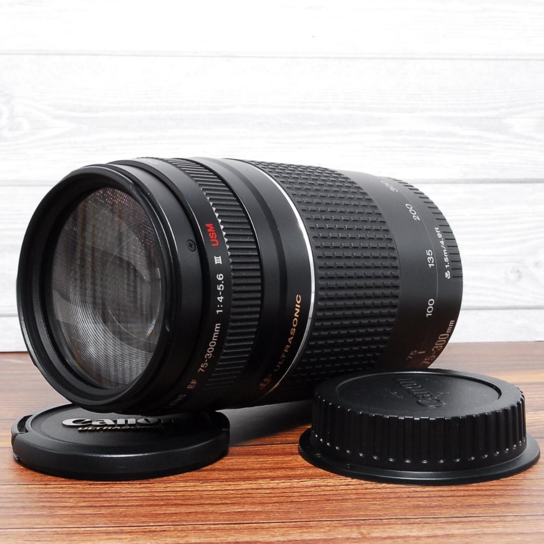 望遠レンズ キヤノン Canon EF 75-300㎜ F4-5.6 Ⅲ USM
