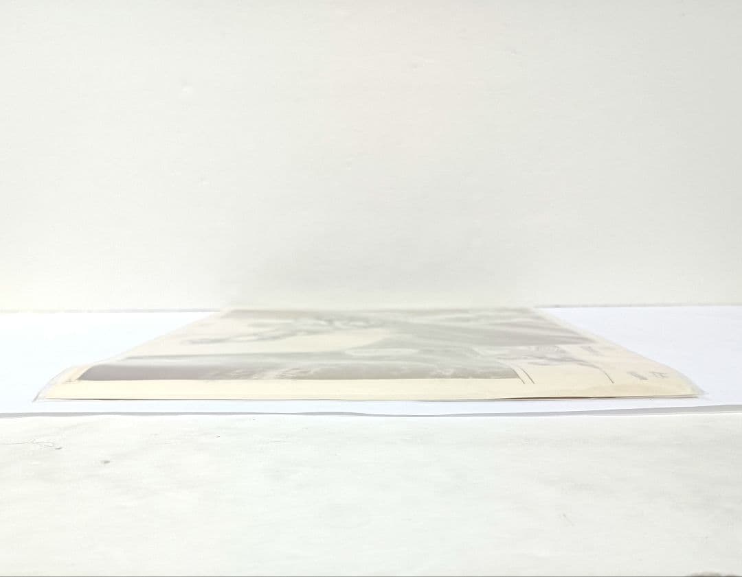 1.『北斗の拳』複製原稿（2枚セット）〈WJ50周年展VOL.1〉　未開封