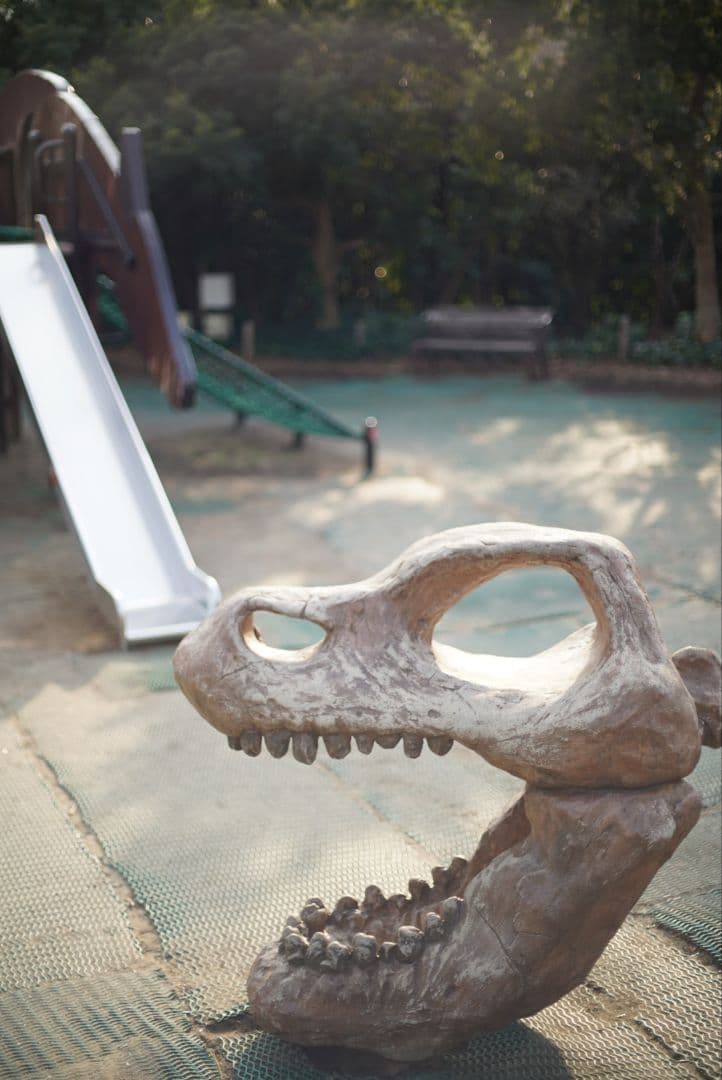 【動作確認済】Canon New FD 50mm f1.4 純正付属品付き