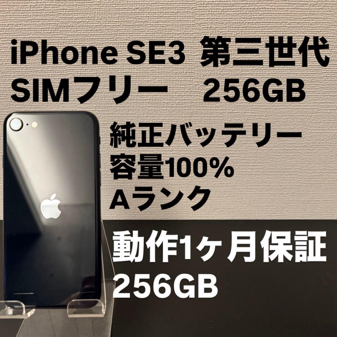 極美品 256GB Apple iPhone SE 3 第三世代 ブラック