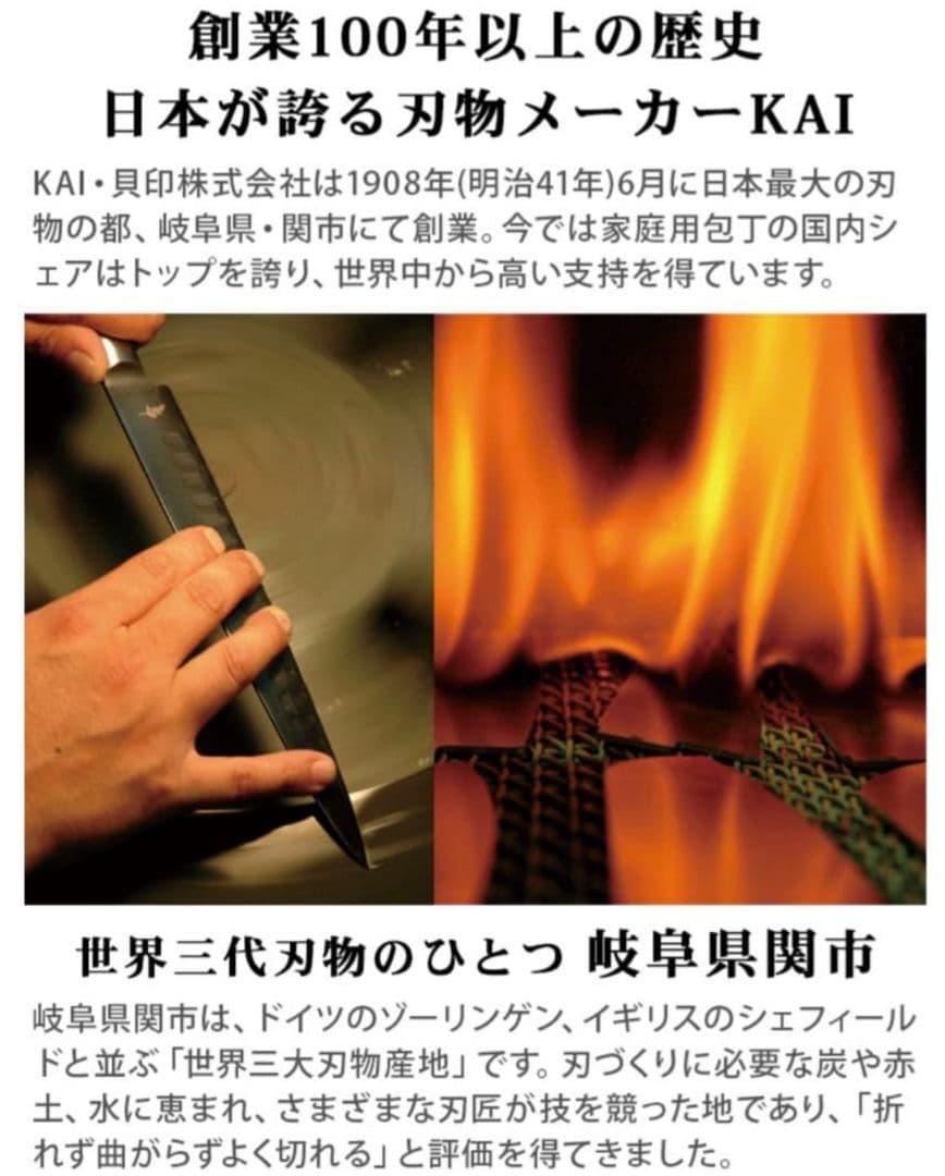 Michel BRAS ミシェルブラス 包丁 No.3 BK-0003 230㎜