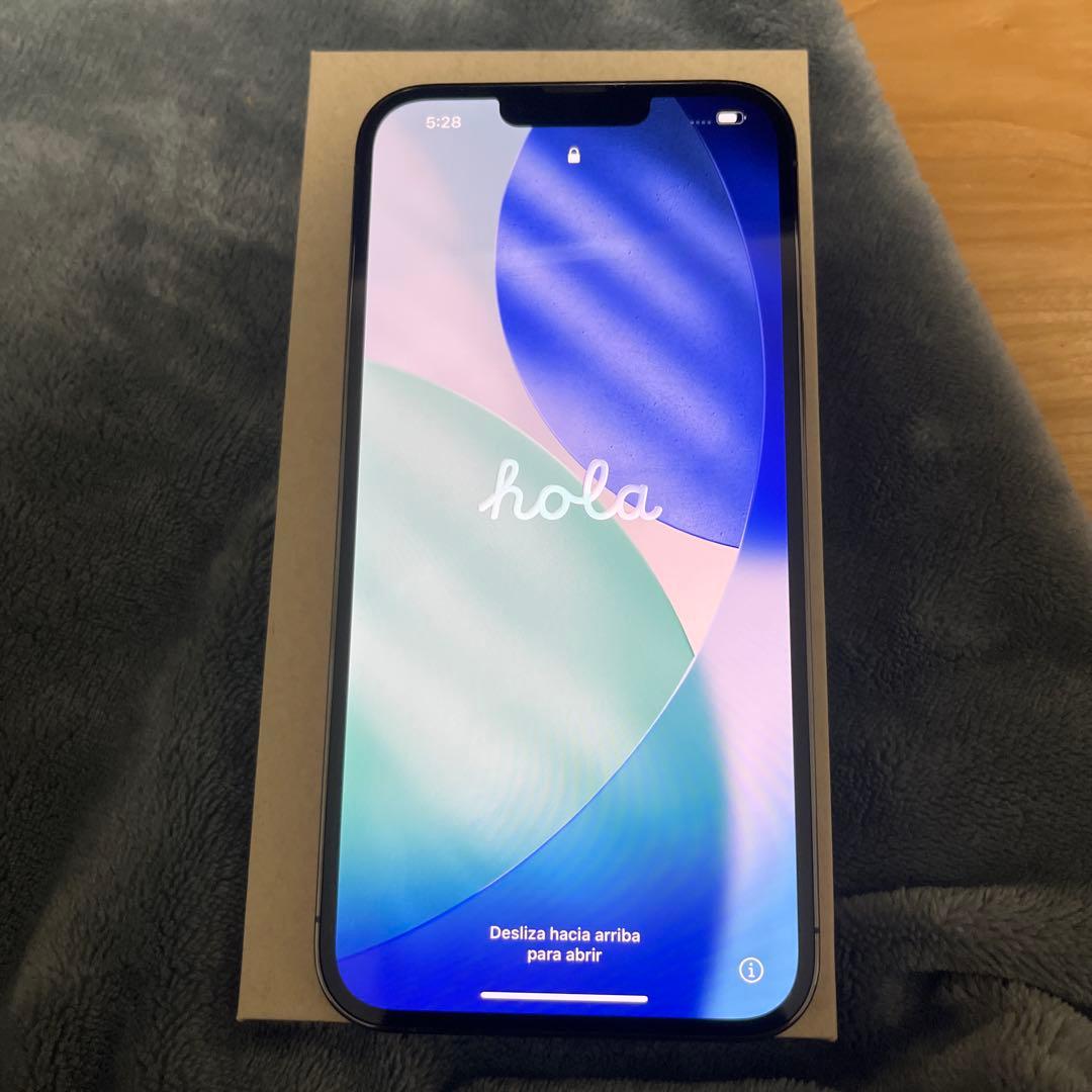 め*う様 Apple iPhone 13 Pro MAXグラファイト 6.1イン