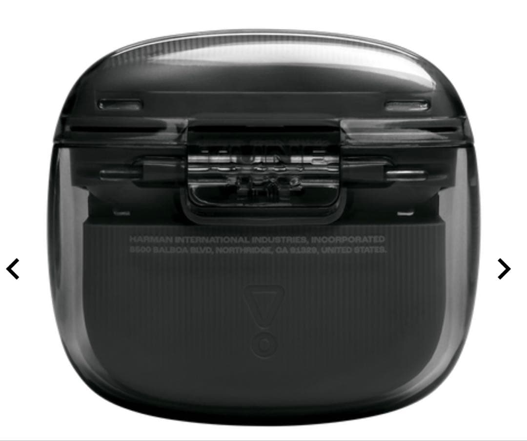 JBL TUNE FLEX 2 GHOST EDITION ワイヤレスイヤホン