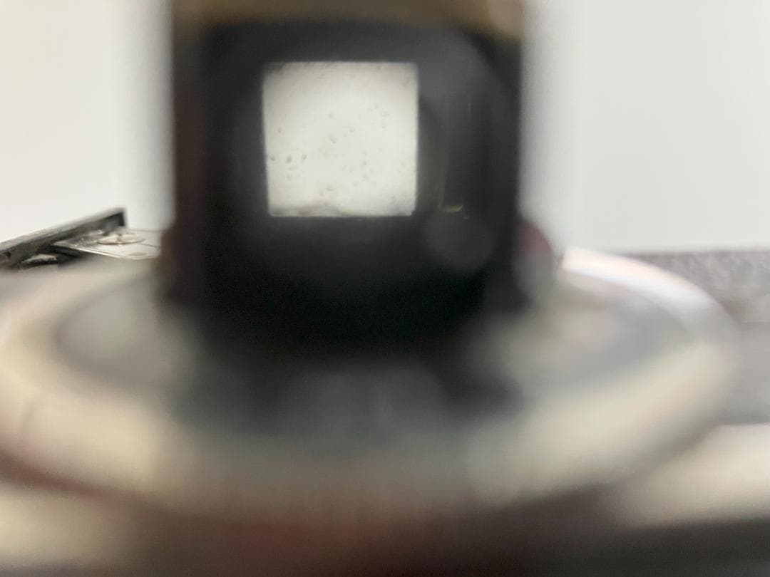 Balda Baldax Trioplan 7.5cm F2.9 蛇腹カメラ