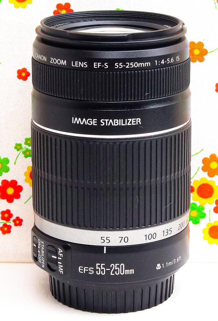 美品☆Canon EF-S 55-250mm IS☆お手軽望遠レンズ♪