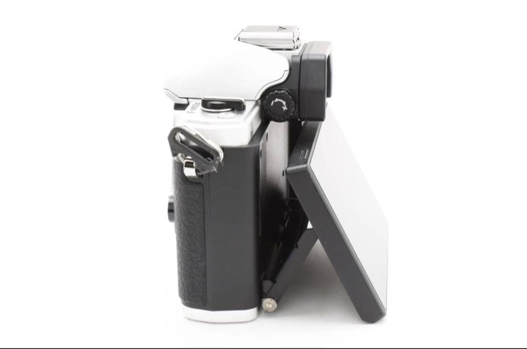 Olympus オリンパス OM-D E-M10 Mark II 2 ボディ