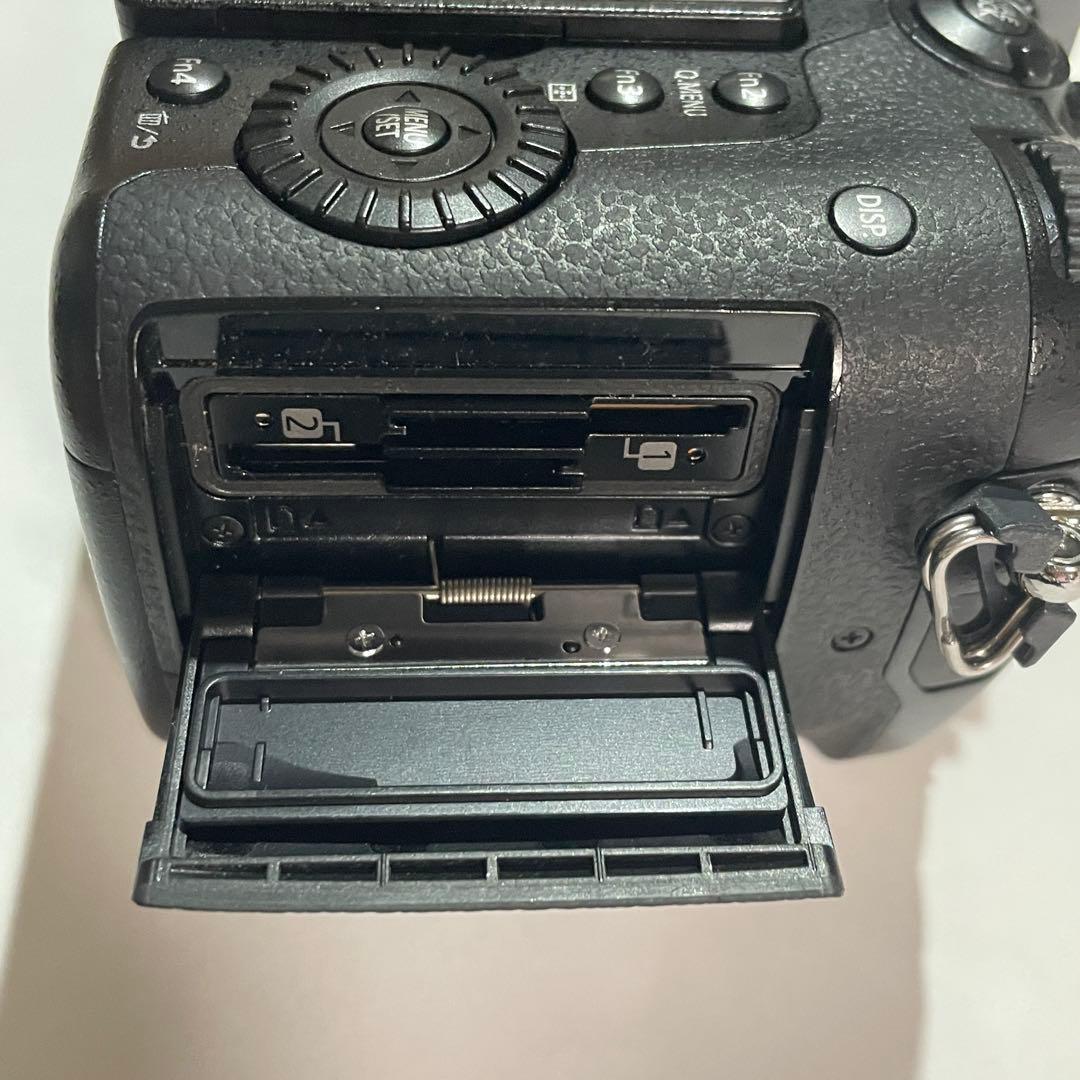 美品 ショット数172回 LUMIX GH5 バッテリー2個充電器