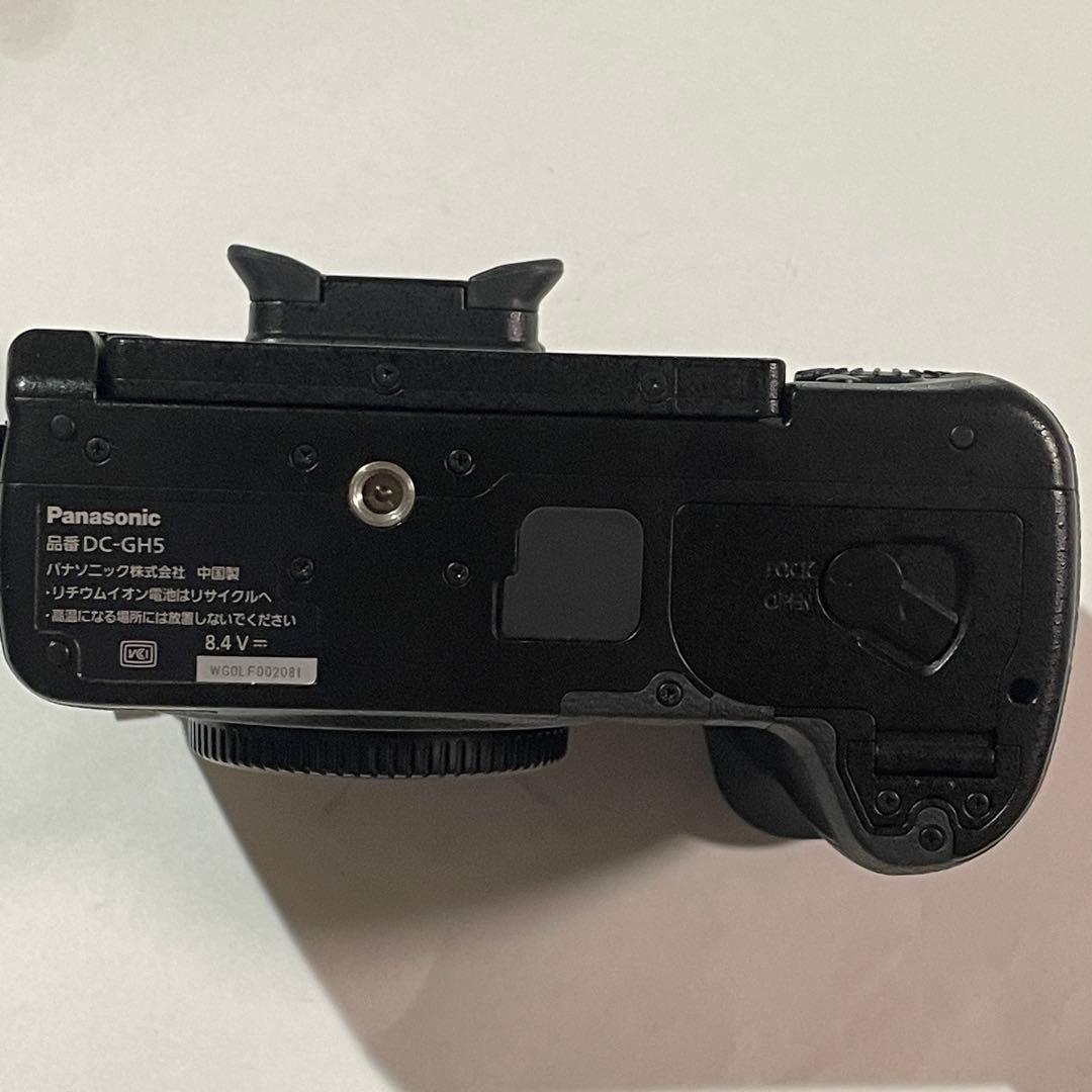 美品 ショット数172回 LUMIX GH5 バッテリー2個充電器