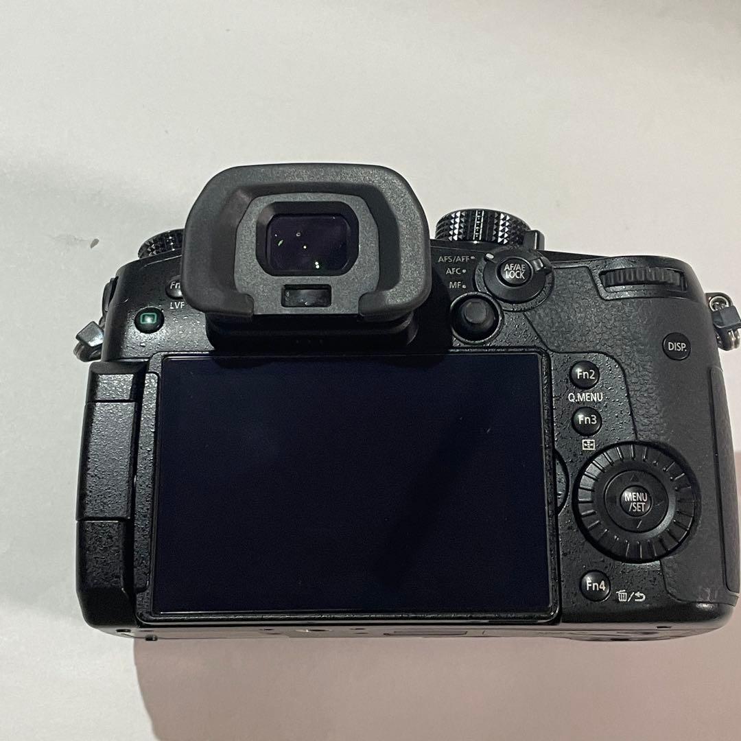 美品 ショット数172回 LUMIX GH5 バッテリー2個充電器