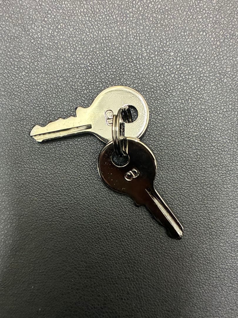 【極美品】DIORディオールトロッター