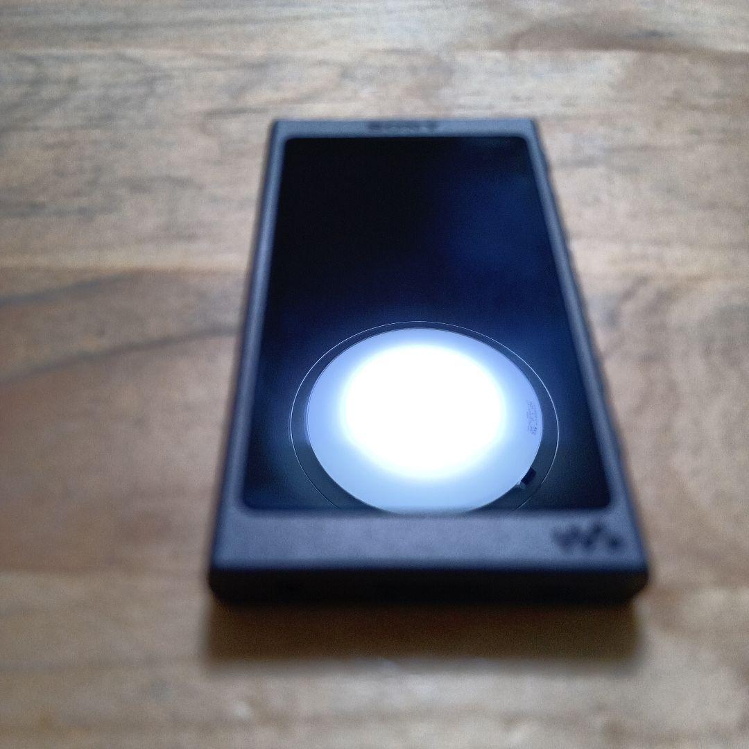 ☪*.様 SONYウォークマンNW-A45 16GB