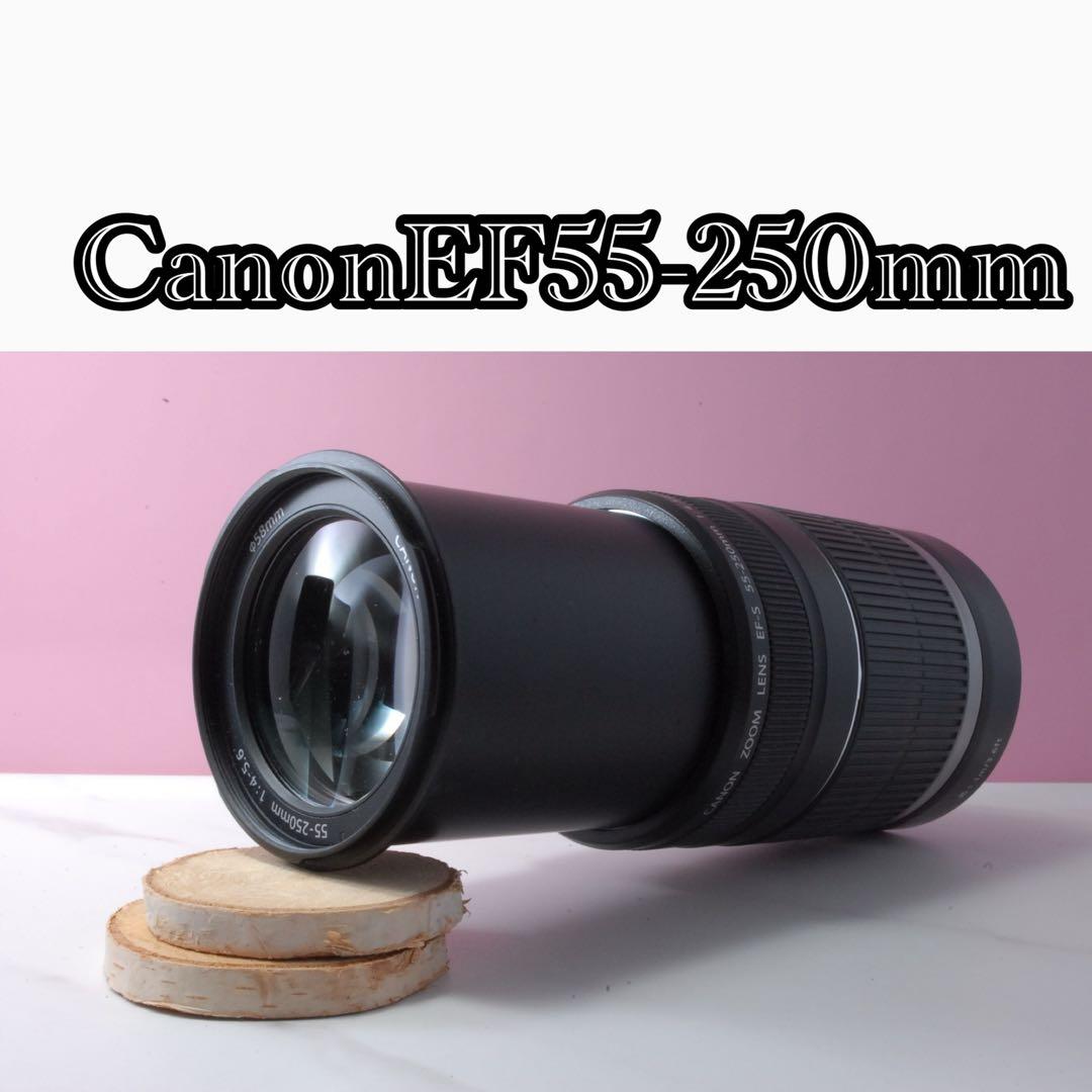 レンズ(ズーム) Canon EF-S 55-250mm 1:4-5.6