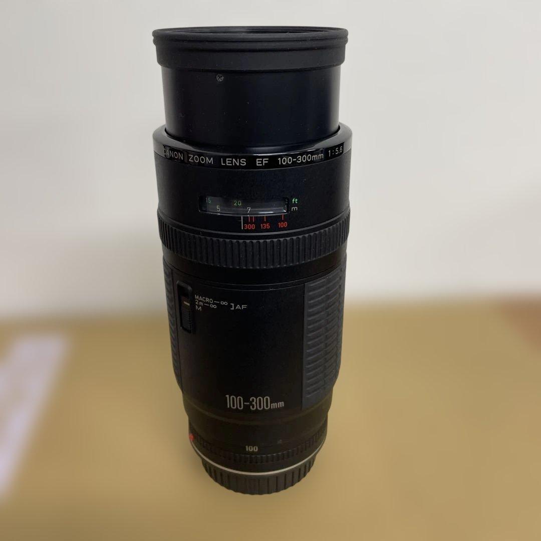 Canon EF 100-300mm ズームレンズ