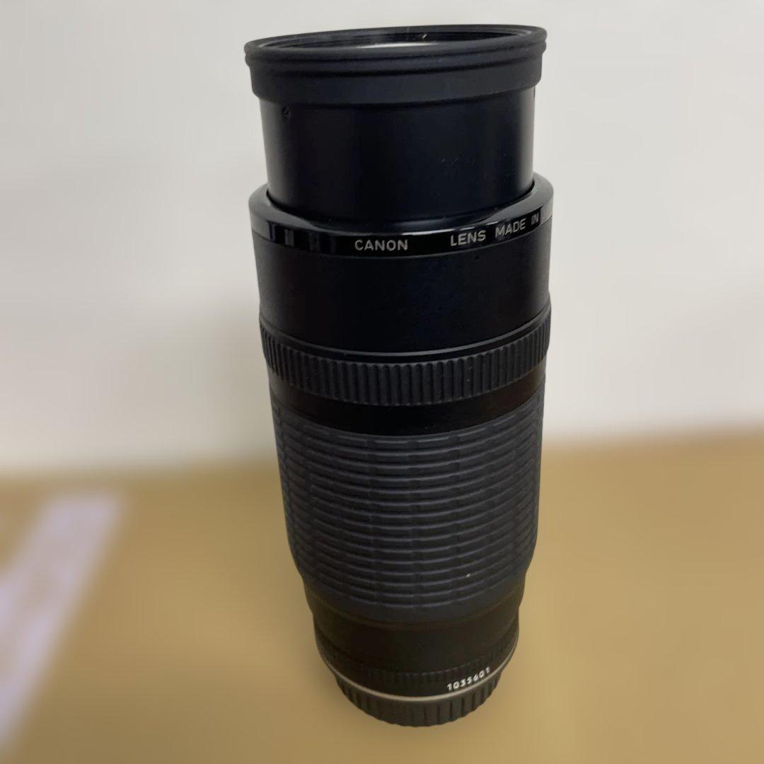 Canon EF 100-300mm ズームレンズ