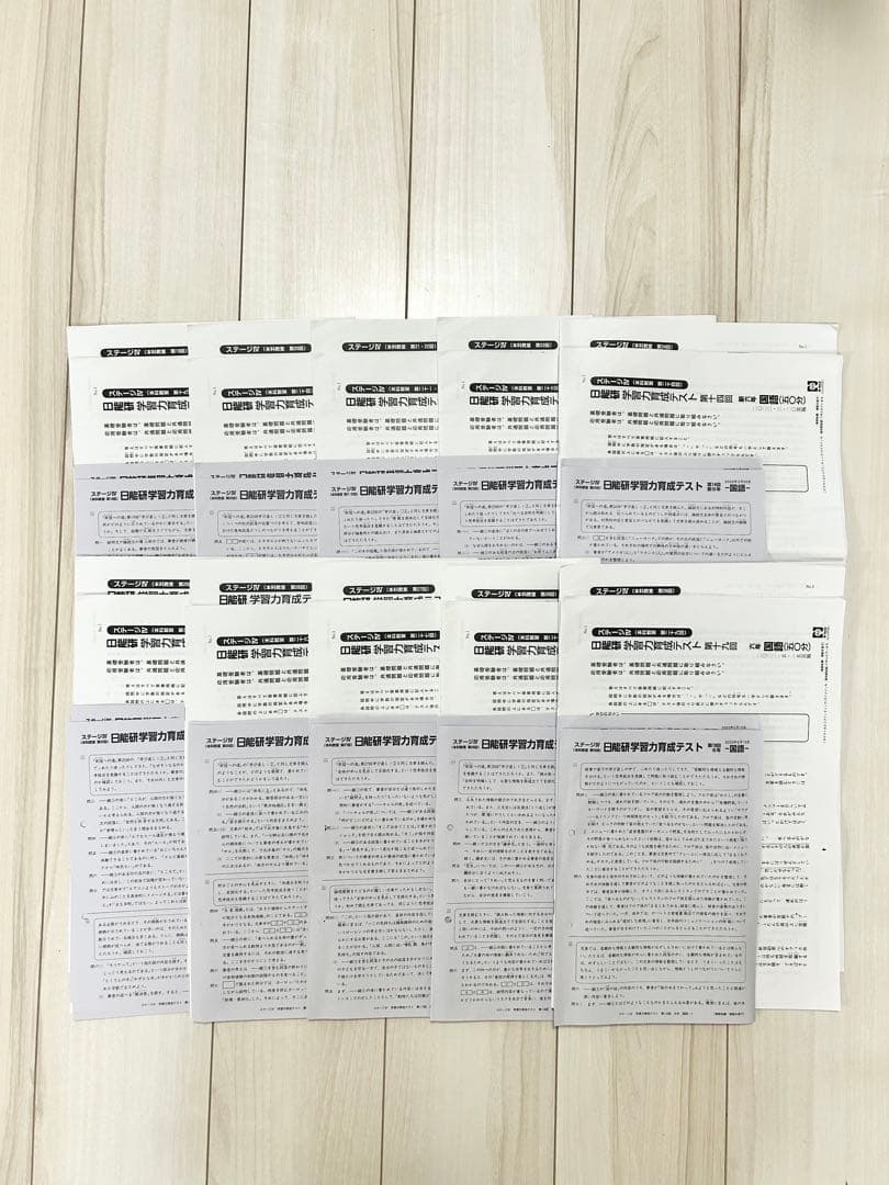 日能研 育成テスト★小6【2022年度 前期】欠品なし★6年生