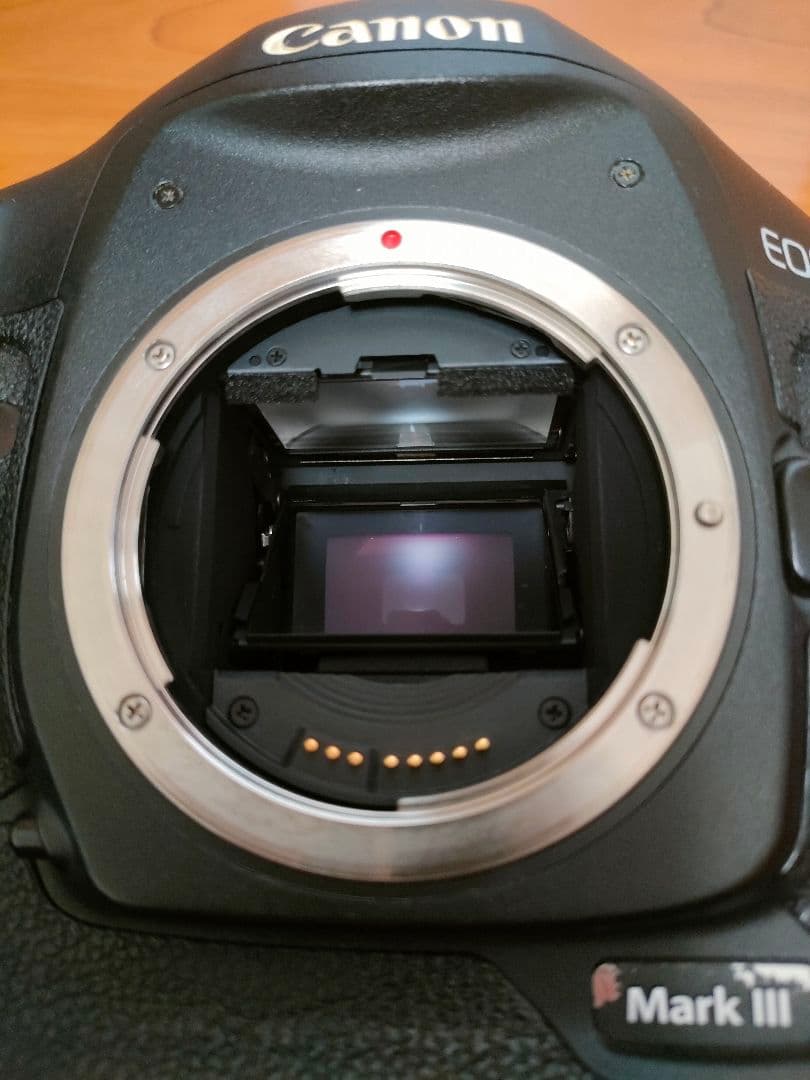 EF28-70mF2.8L+EOS-1DMarkIIIプロフェショナルセット