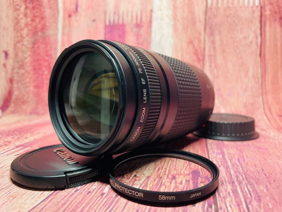 Canon キャノン EF-75-300mm 1:4-5.6 Ⅱ