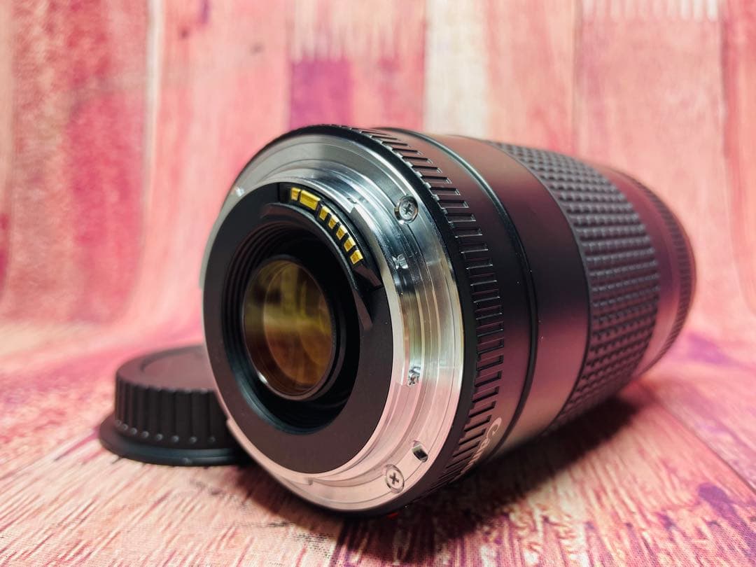Canon キャノン EF-75-300mm 1:4-5.6 Ⅱ
