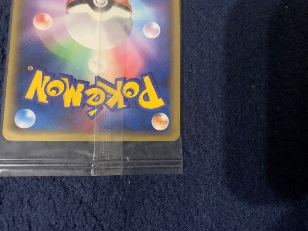 ポケパーク グラードン プロモ 042/PCG-P ポケモンカード 未開封