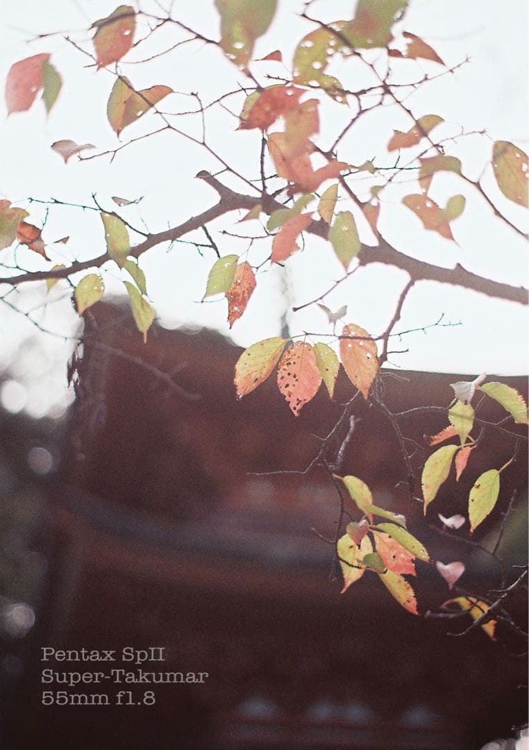 ★pentax sp Ⅱ +タクマー1.8★完動＊美品＊初期保証＊本革外装