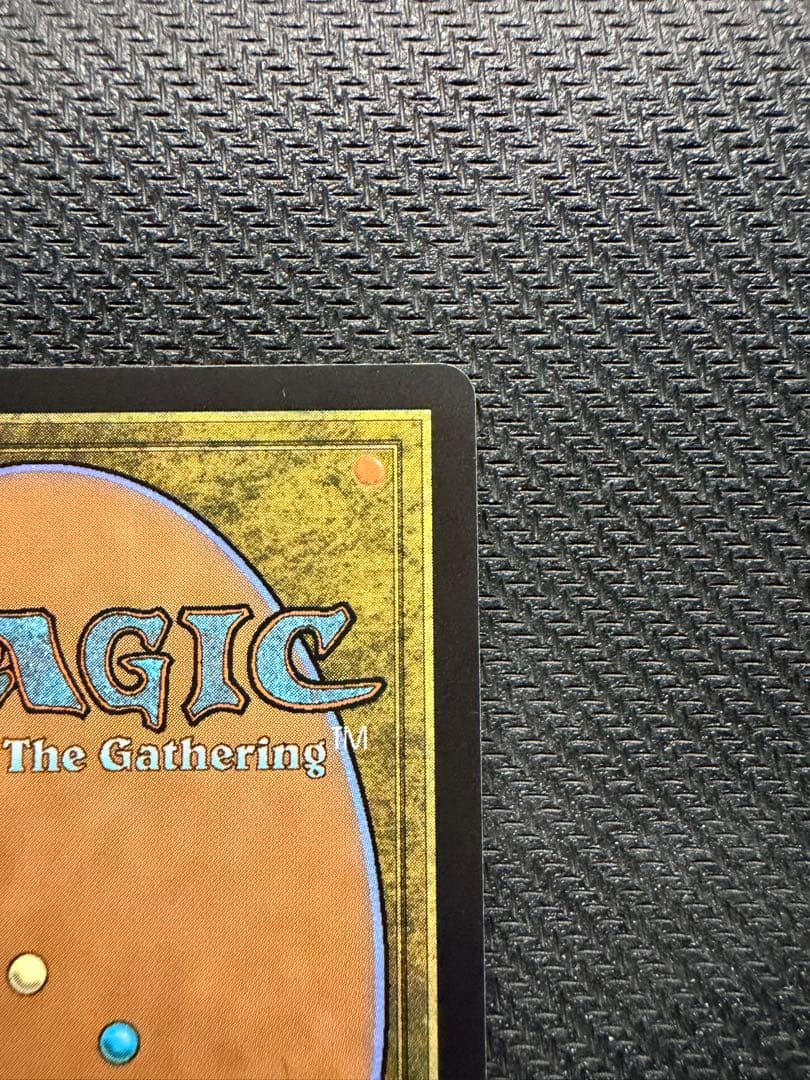 MTG 量子の謎かけ屋　通常　英語版