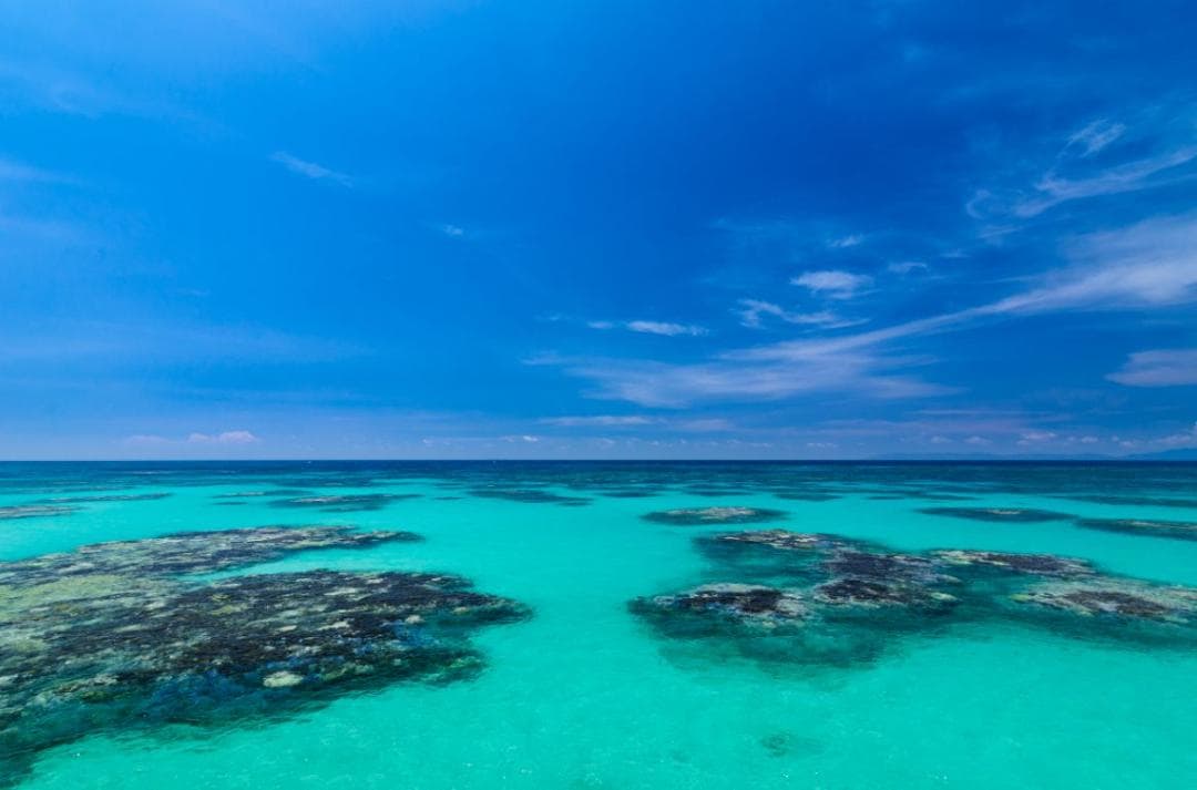 超広角 TOKINA AT-X PRO 11-16mm F2.8　AT-X116