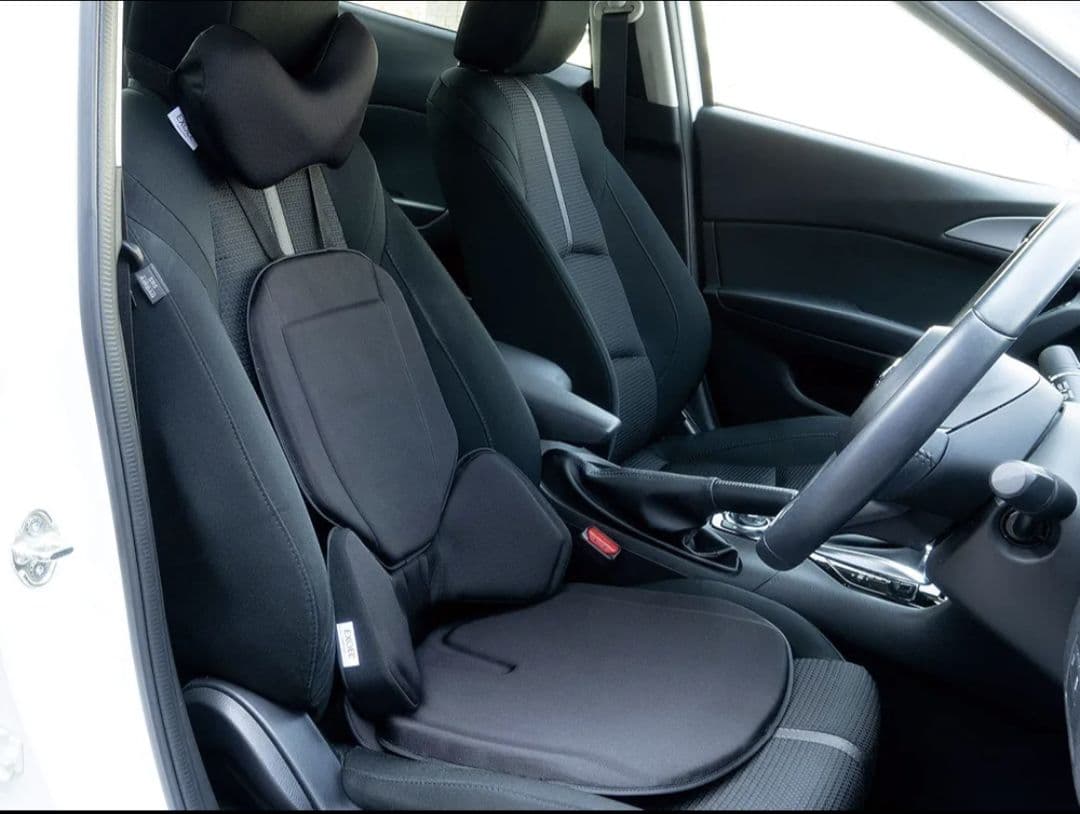 EXGEL(エクスジェル) 自動車用ランバーサポートシート HUD03-BK