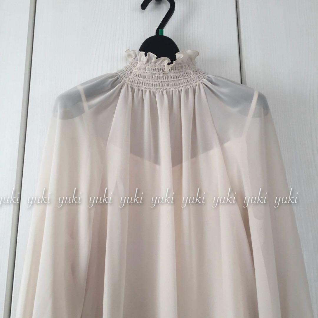 ANAYI シアージョーゼット シャーリングブラウス