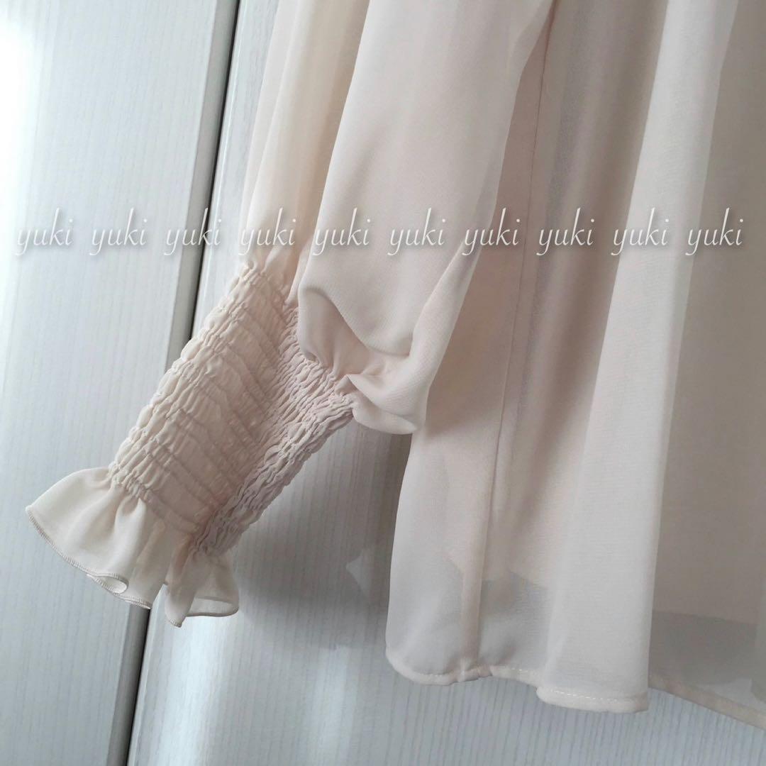 ANAYI シアージョーゼット シャーリングブラウス