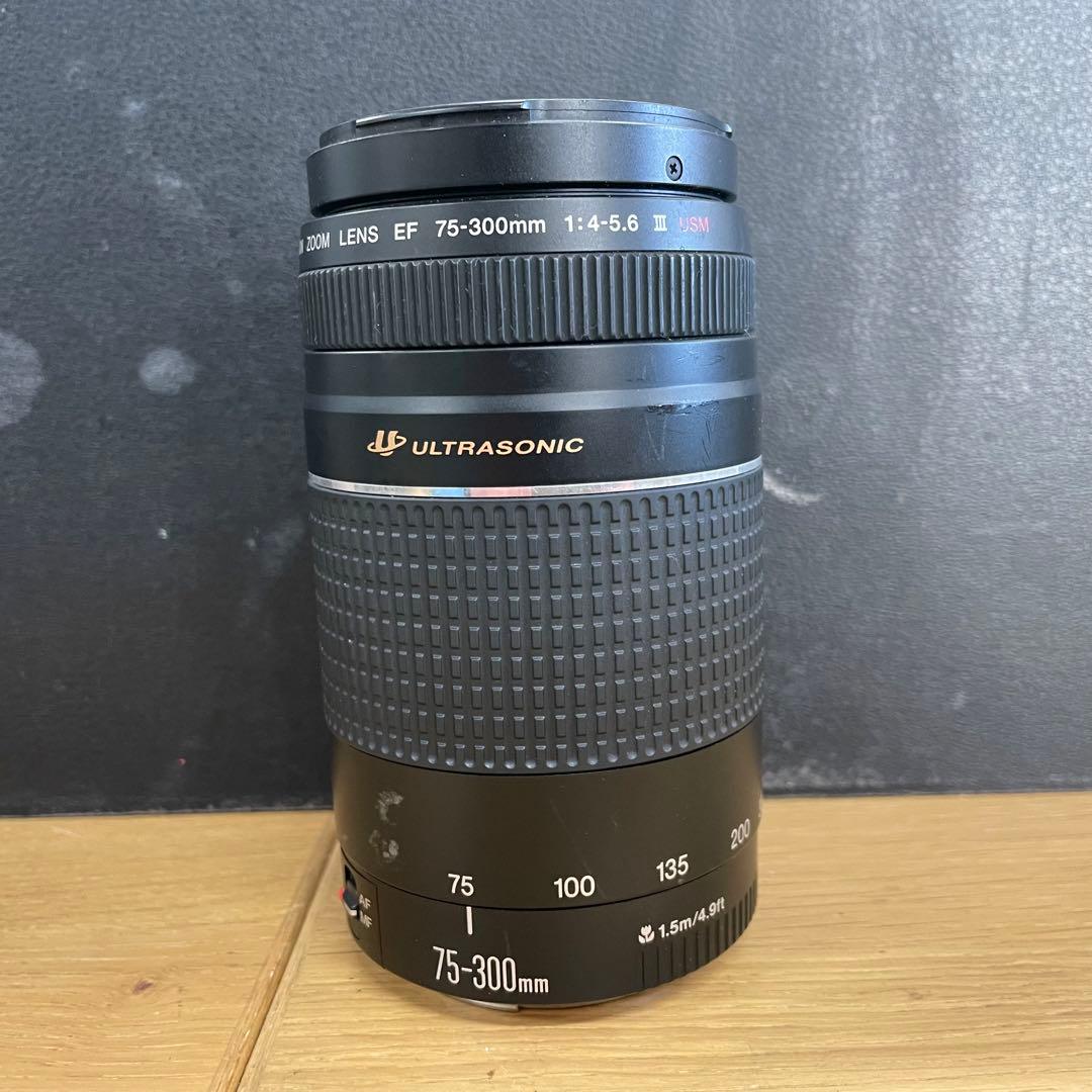 動作品 Canon EF 75-300mm F4-5.6 Ⅲ USM 望遠ズーム